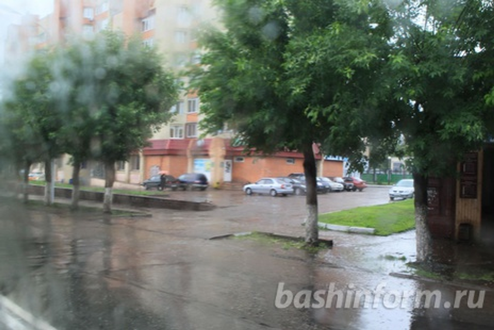 Андрей Старостин