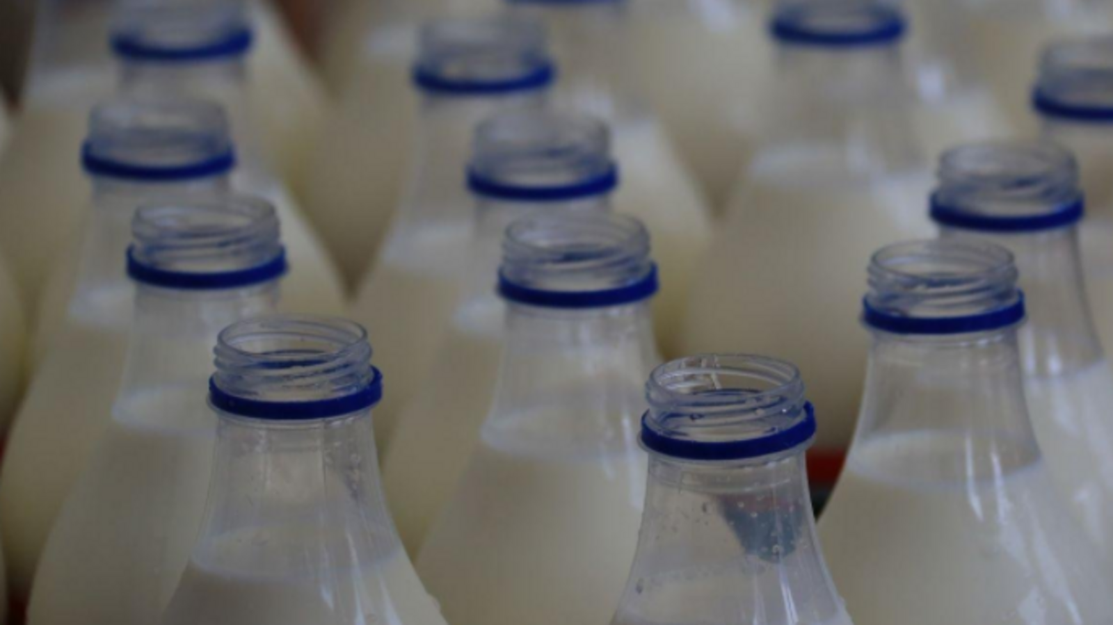 ИА «Башинформ»