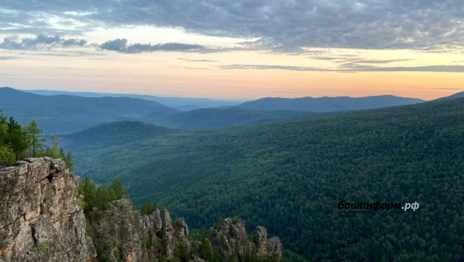 Елена Колоколова