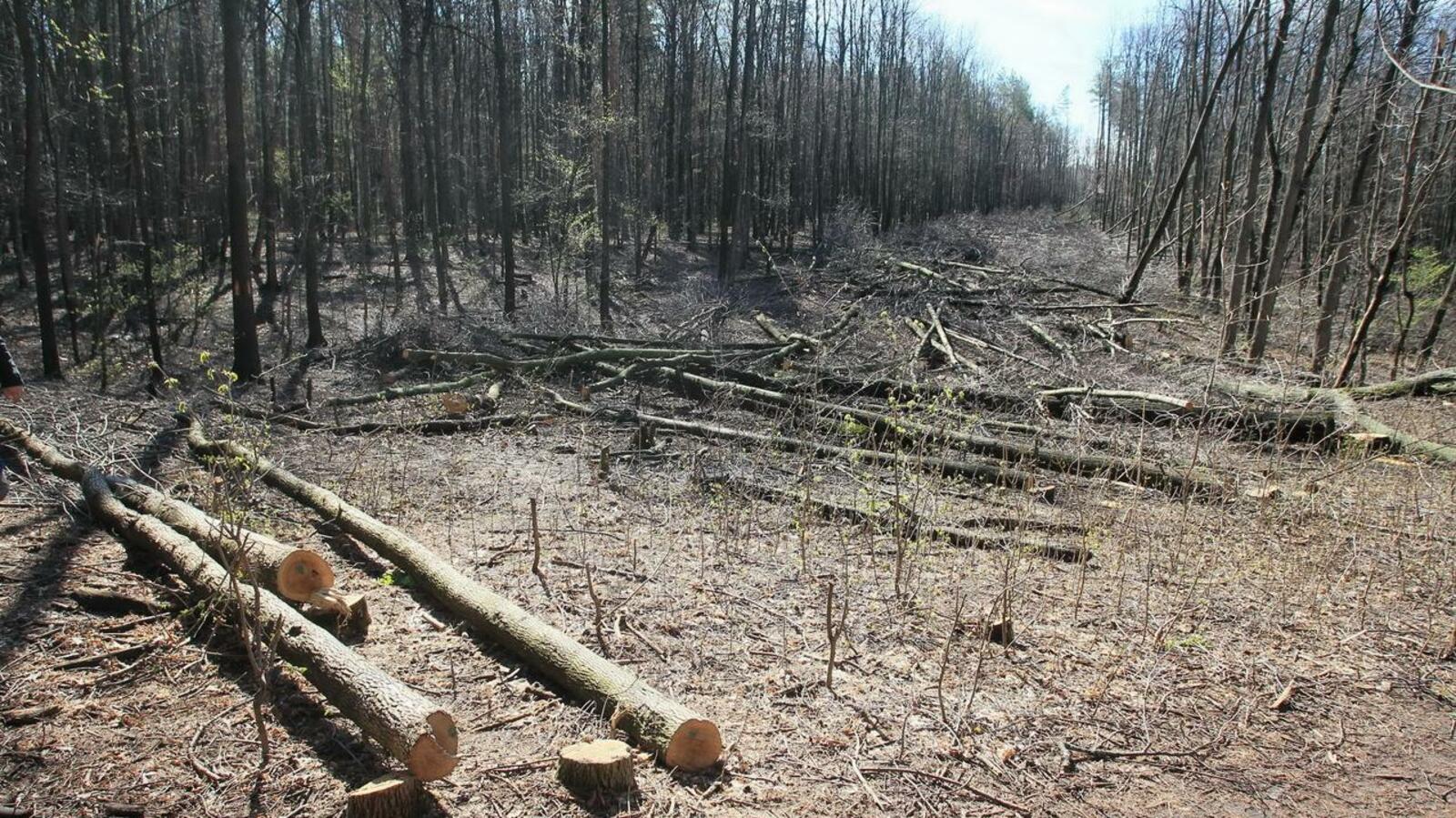 ИА «Башинформ»