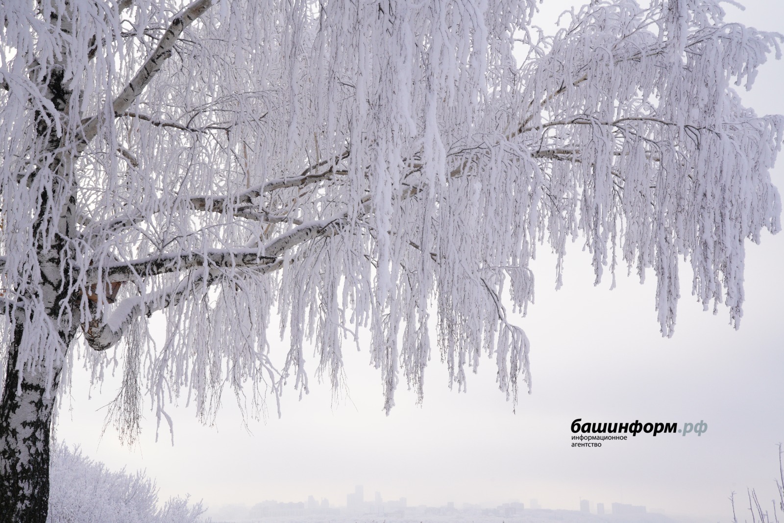 Олег Яровиков  архив ИА «Башинформ»