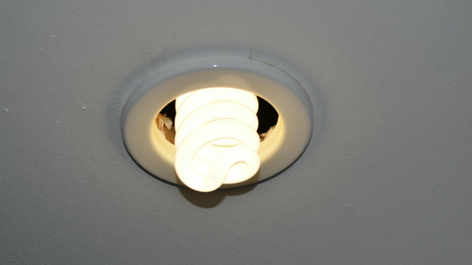 Ксения Калинина