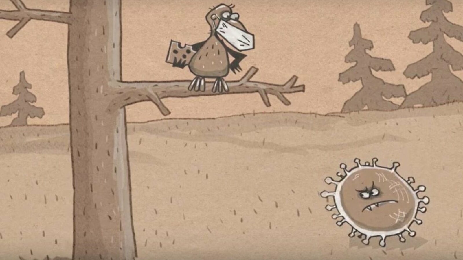 стоп-кадр видео