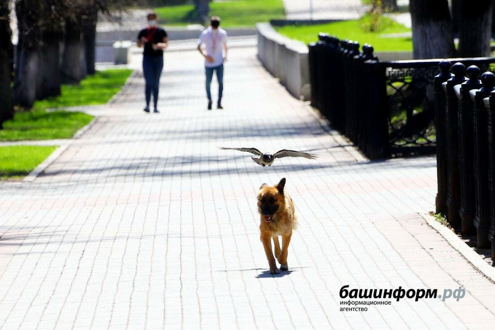 Валерий Шахов
