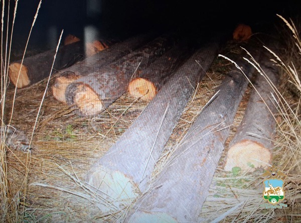 пресс-служба  МВД по РБ