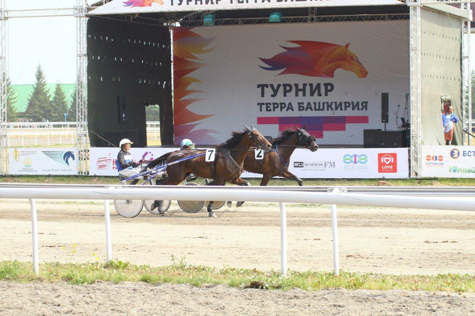 Валерий Шахов