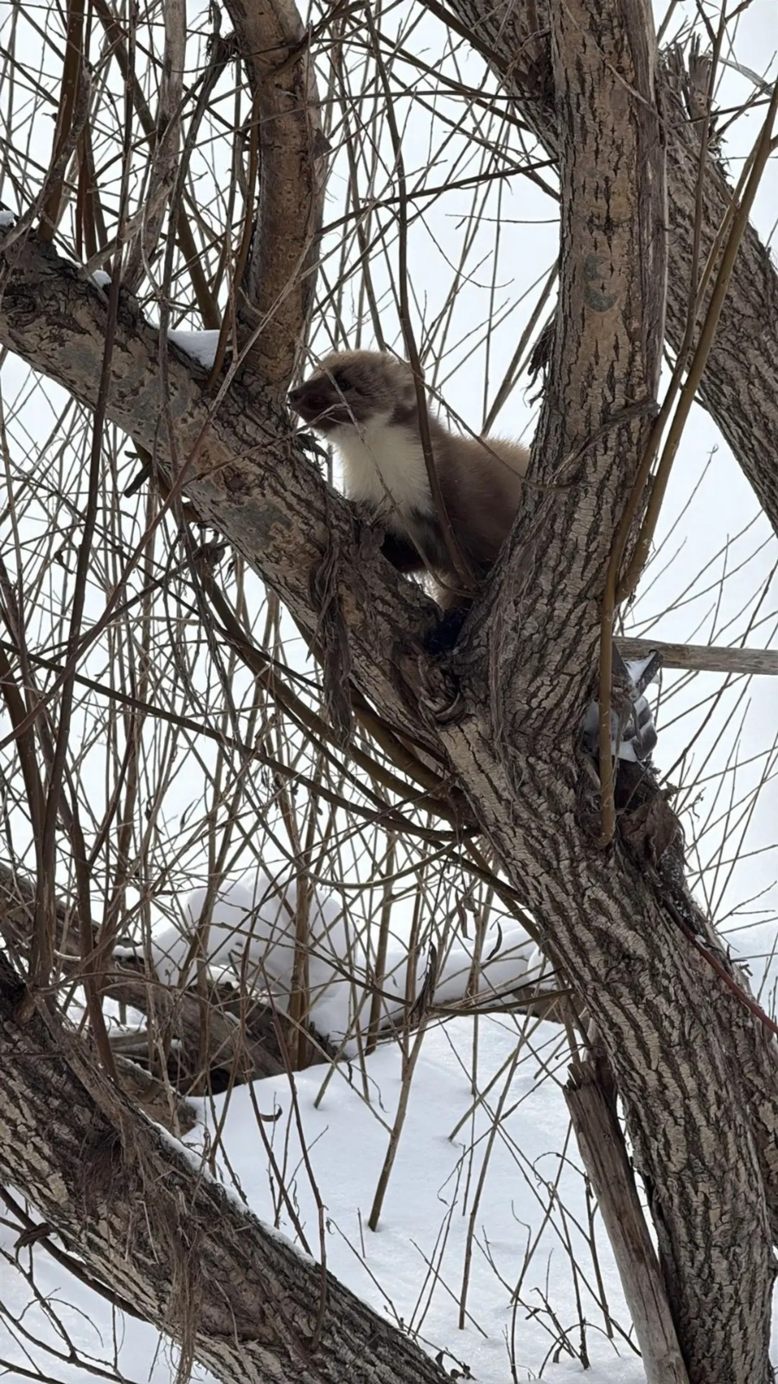 пресс-служба  минэкологии РБ