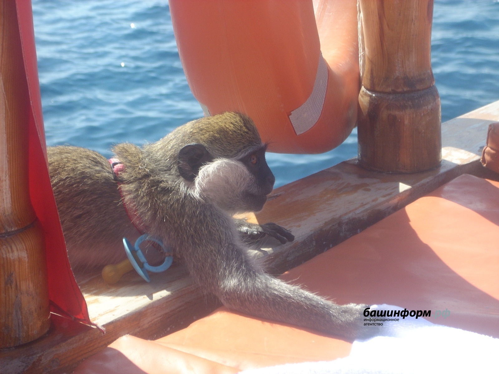 Альфия Аглиуллина архив ИА «Башинформ»