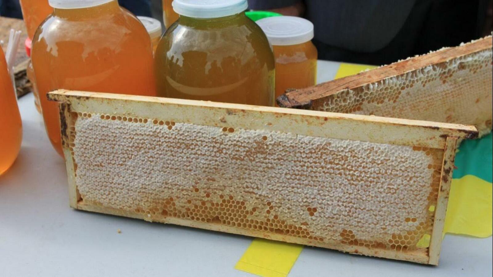 ИА «Башинформ»