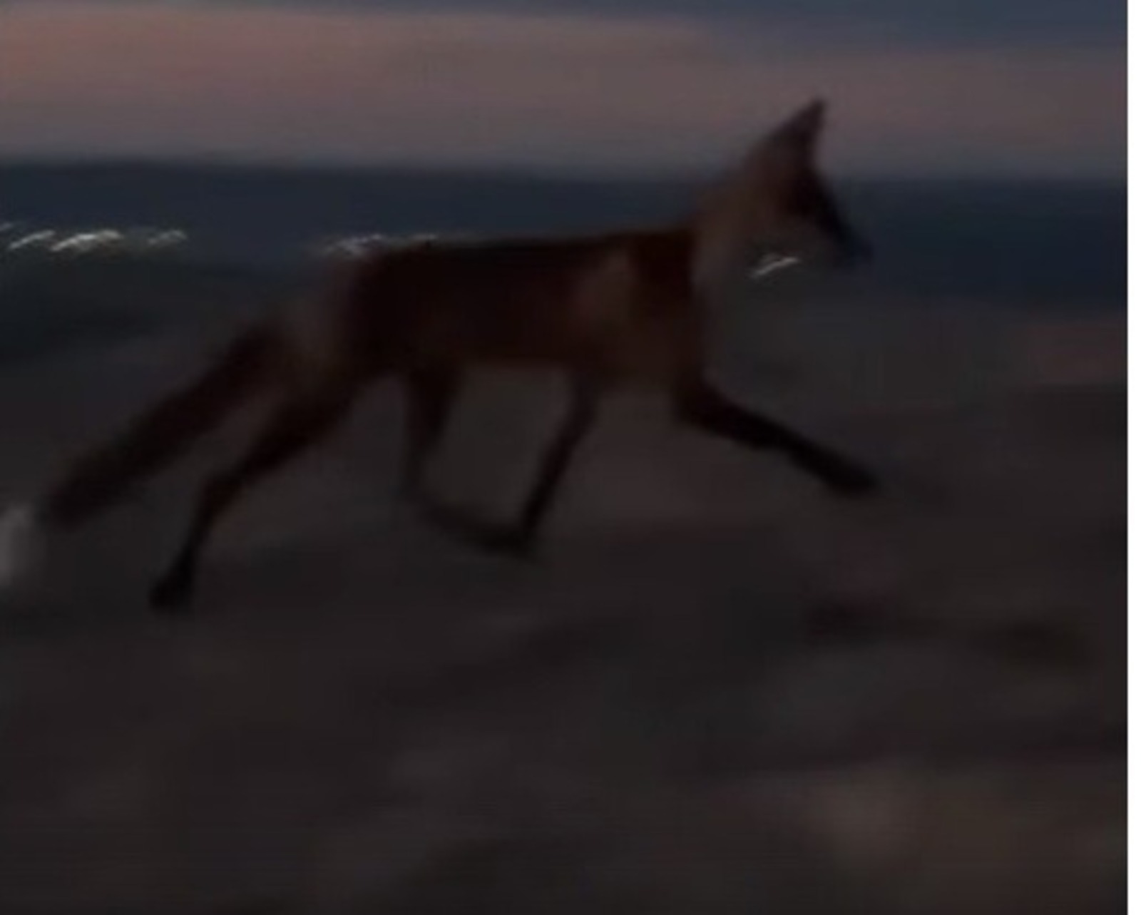 скриншот видео