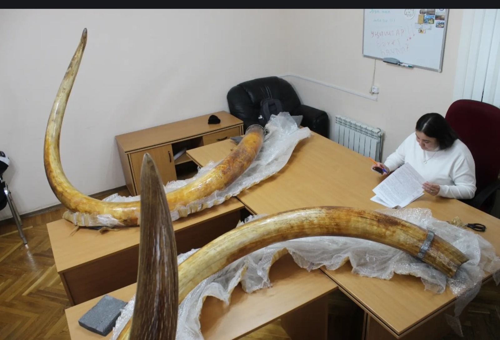 пресс-служба  музей «Шульган-Таш»