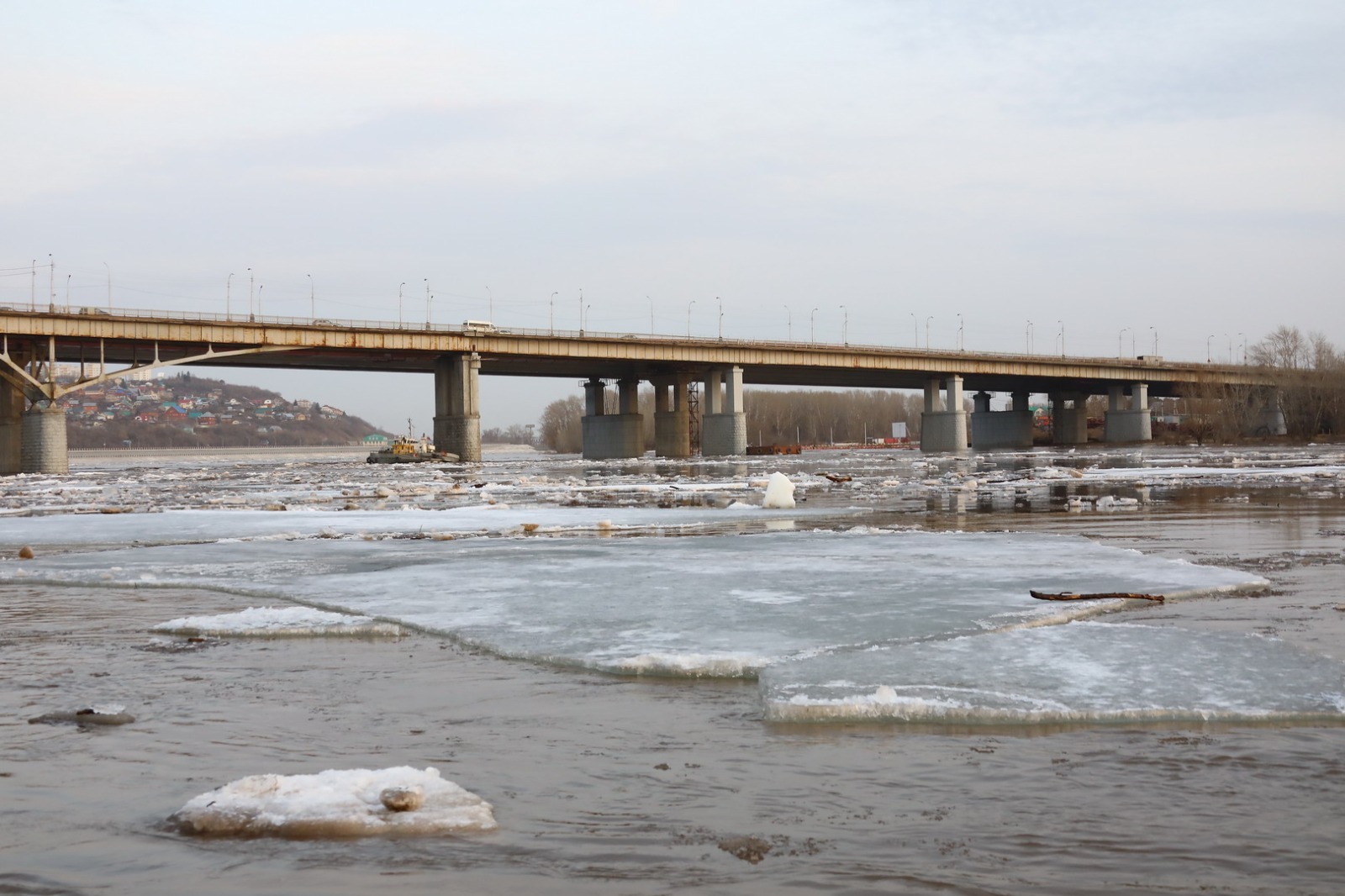 Валерий Шахов