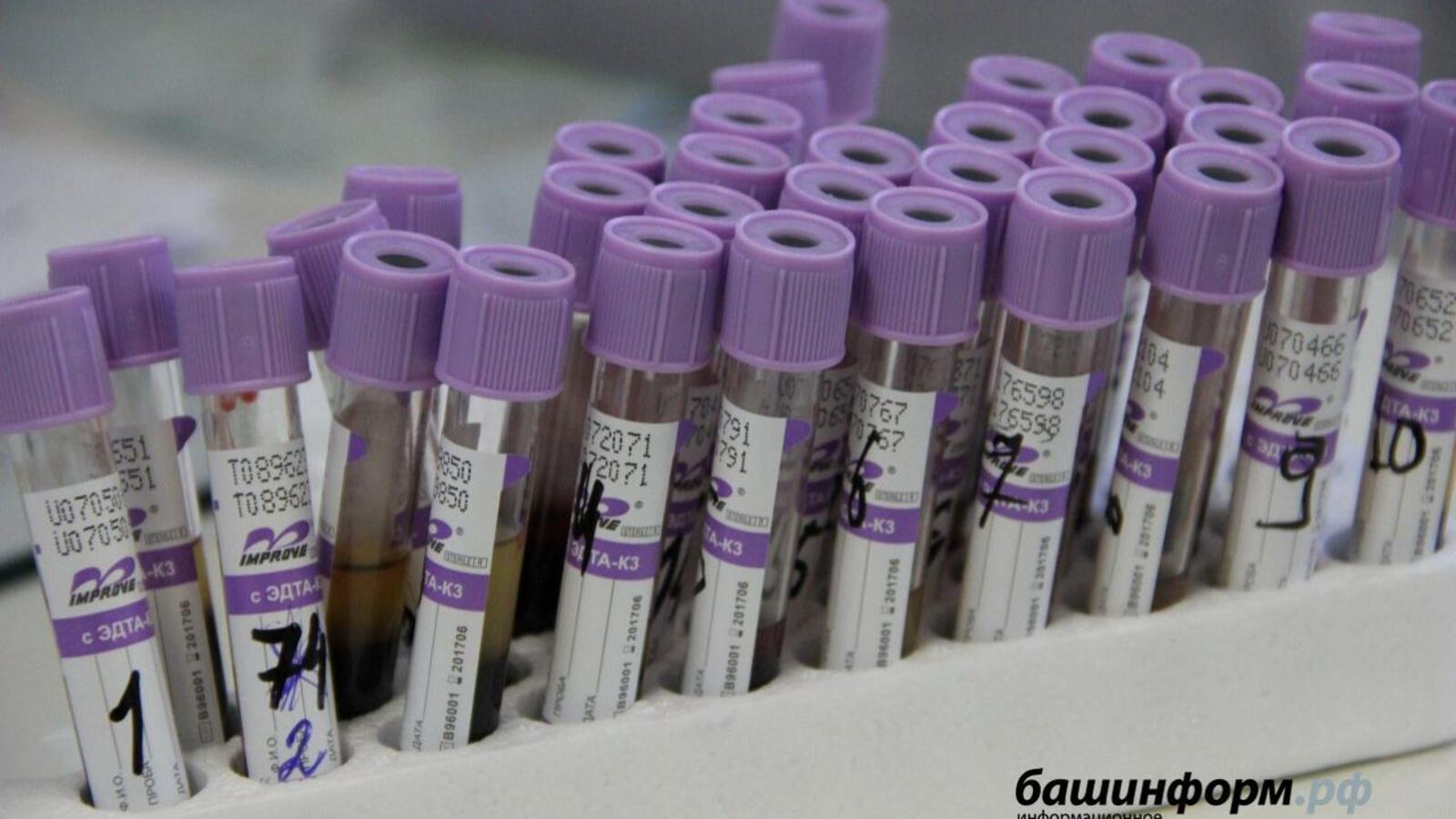 Ксения Калинина