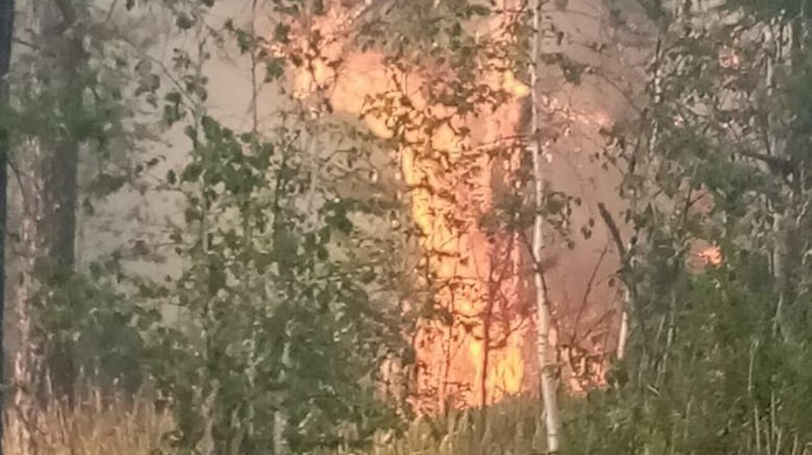 Госкомитет РБ по ЧС