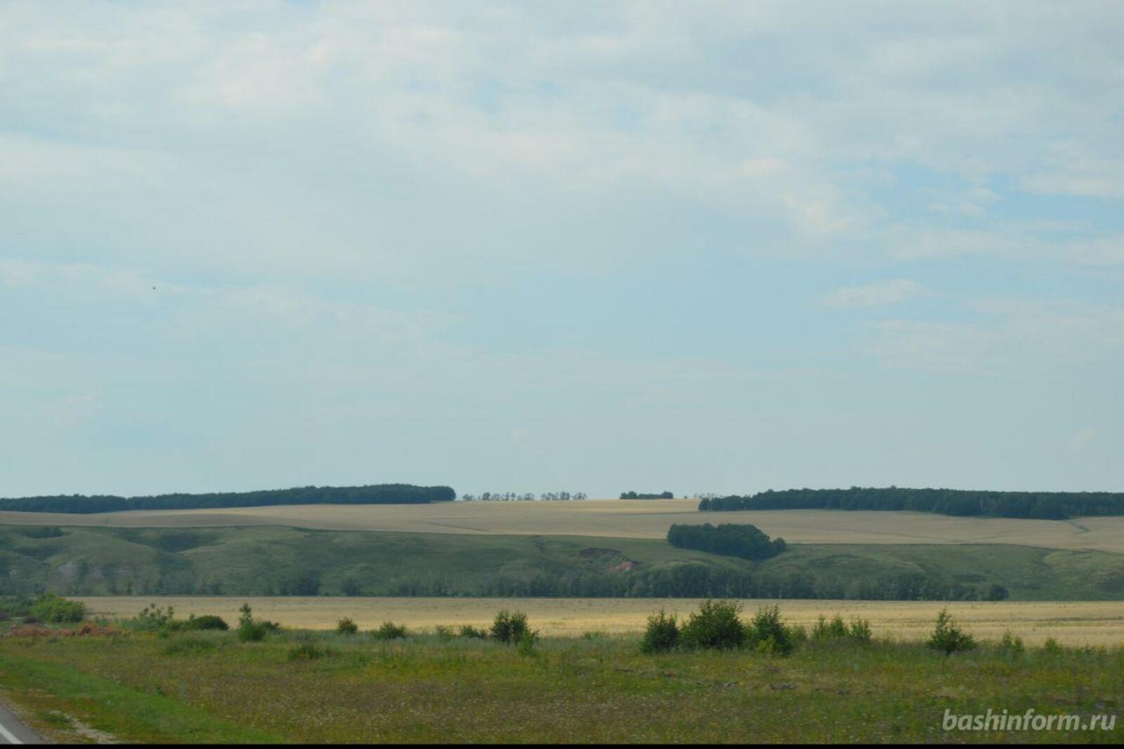 ИА «Башинформ»