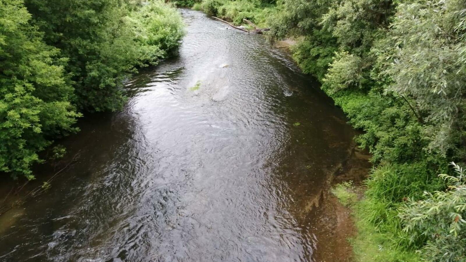 Максим Окунев