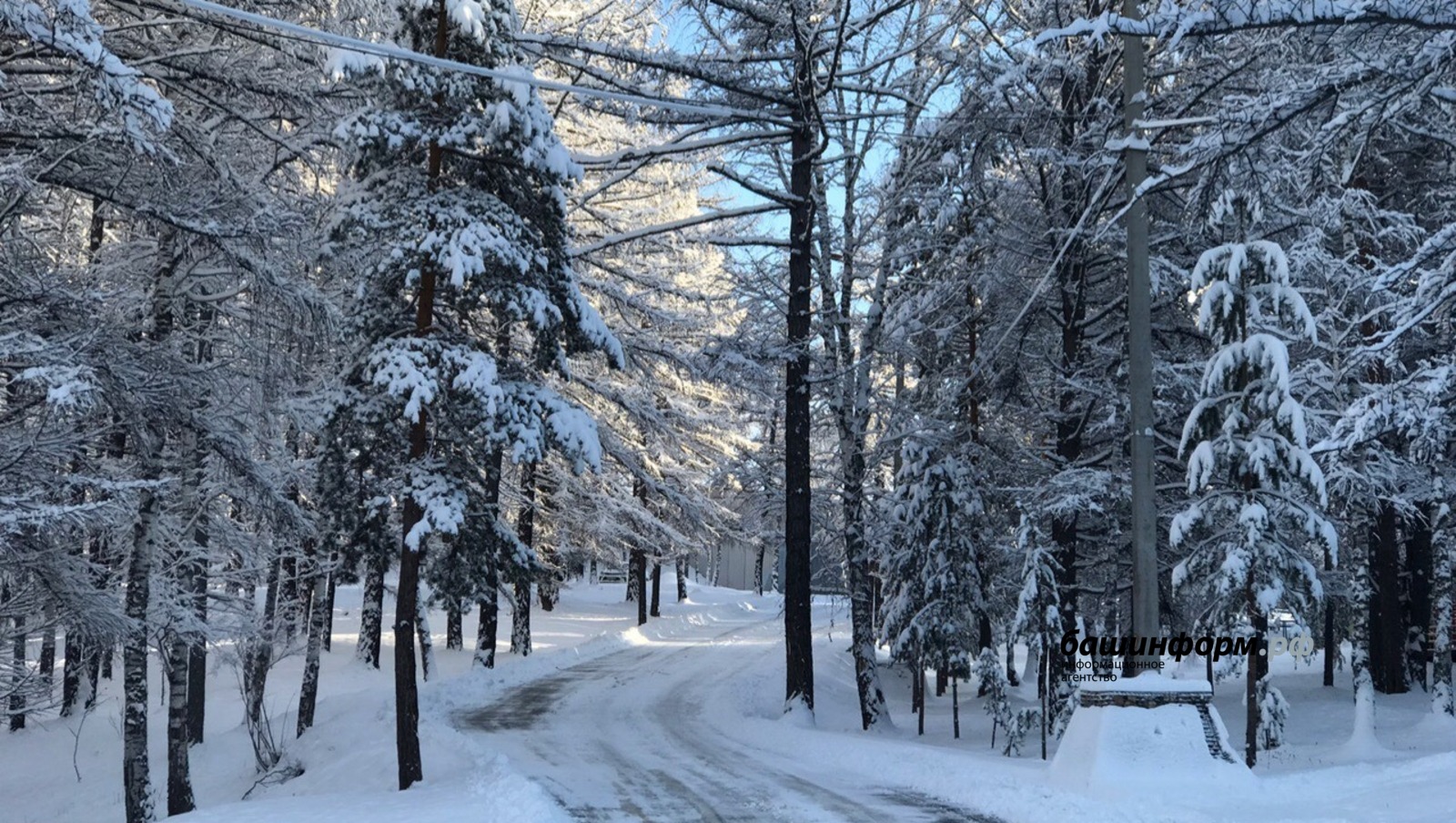 Ксения Калинина   ИА «Башинформ»