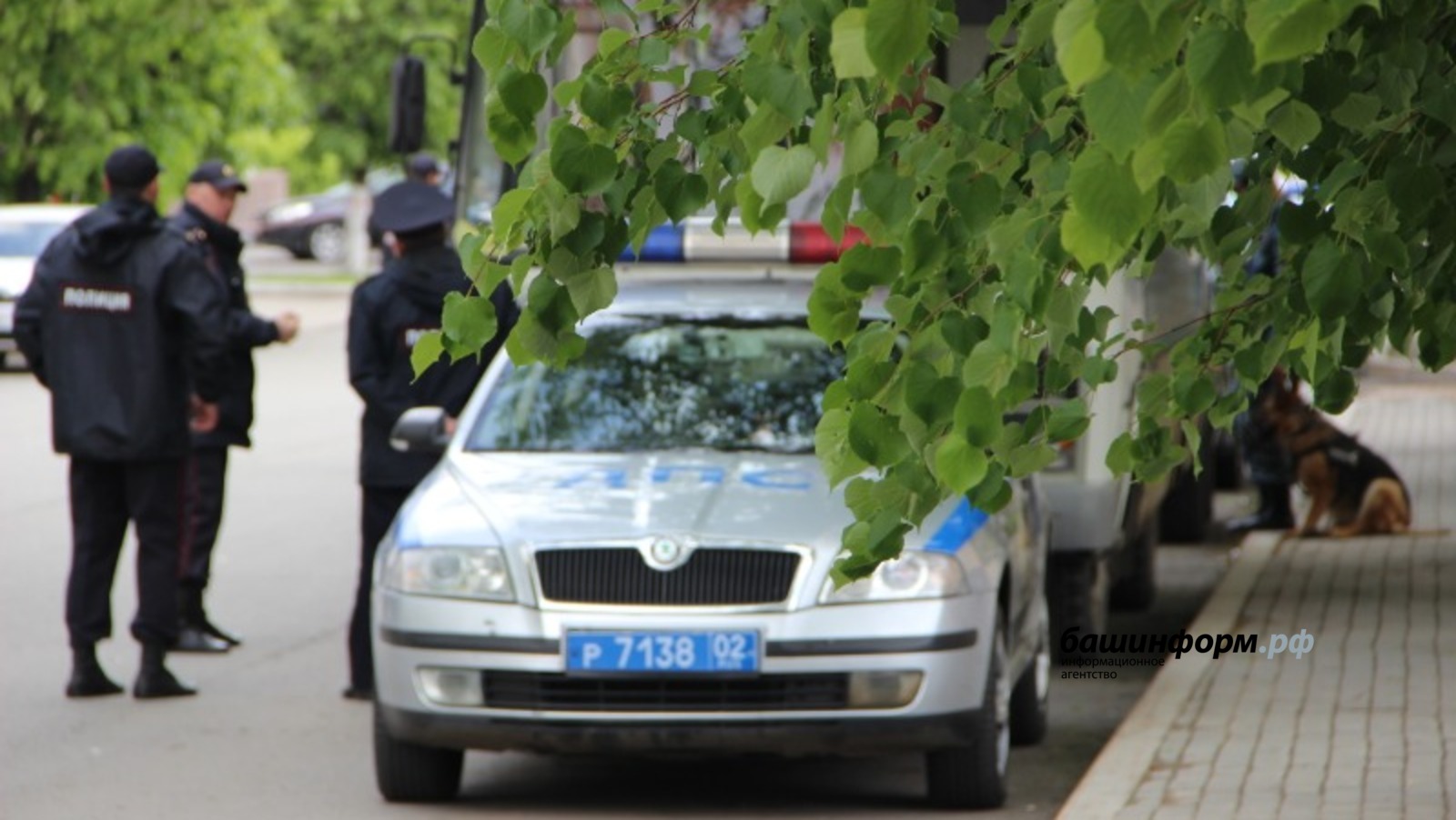Ксения Калинина
