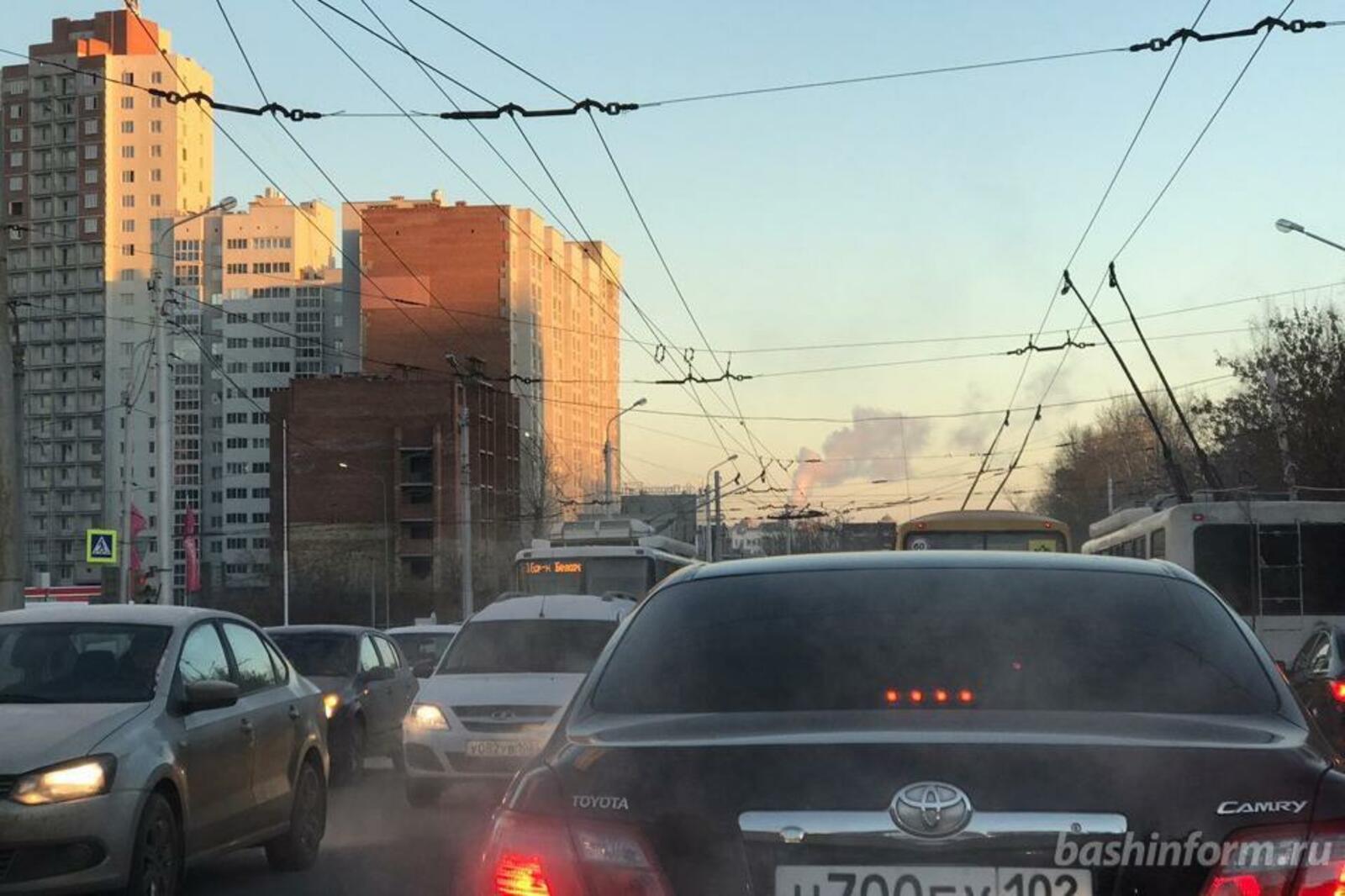 Ксения Калинина