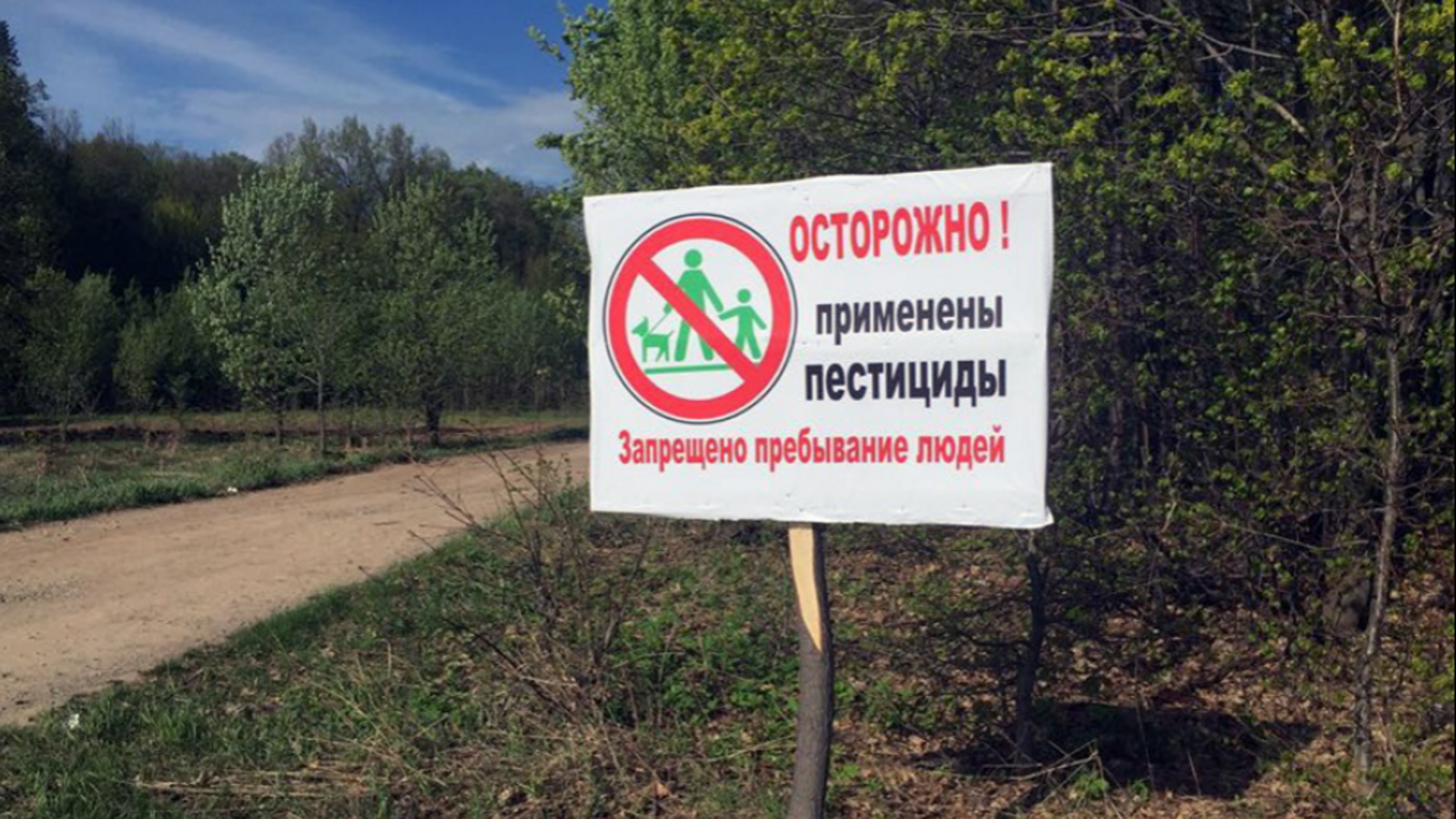 Минлесхоз РБ