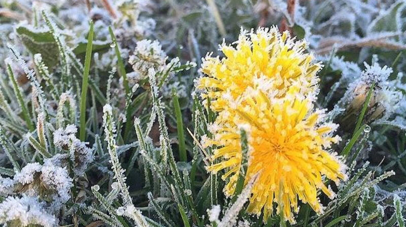 пресс-служба МЧС по РБ