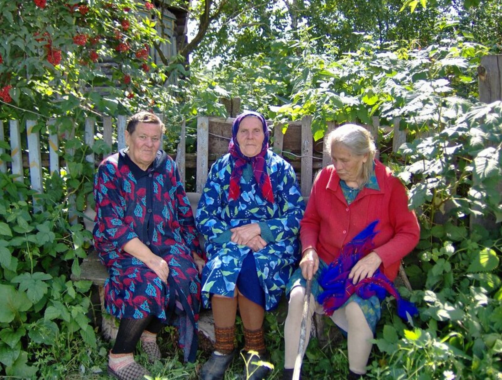 Мохнатка бабушки. Старушки на лавочке в деревне. Деревенская бабушка. Бабки на скамейке в деревне. Две бабушки в огороде.
