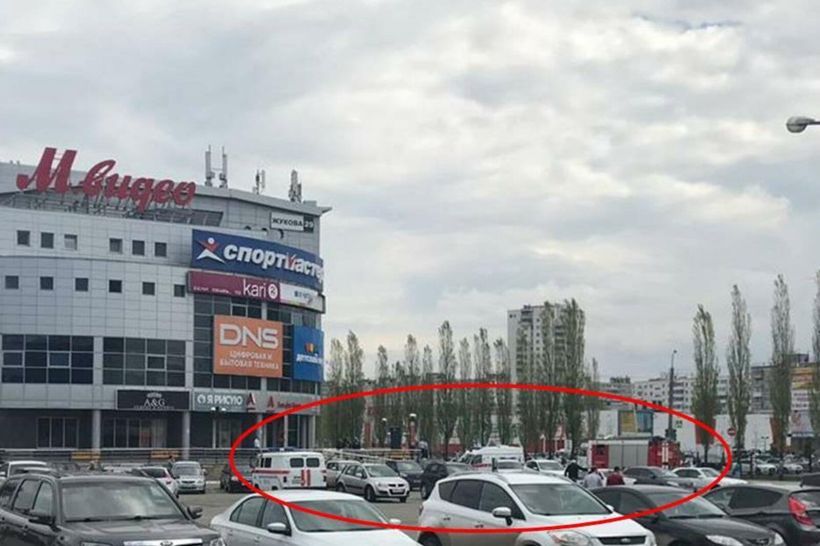 очевидец