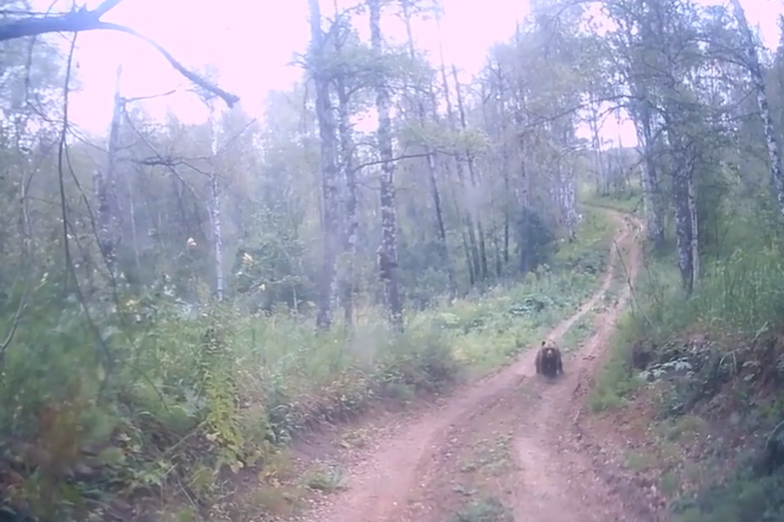 скриншот с видео