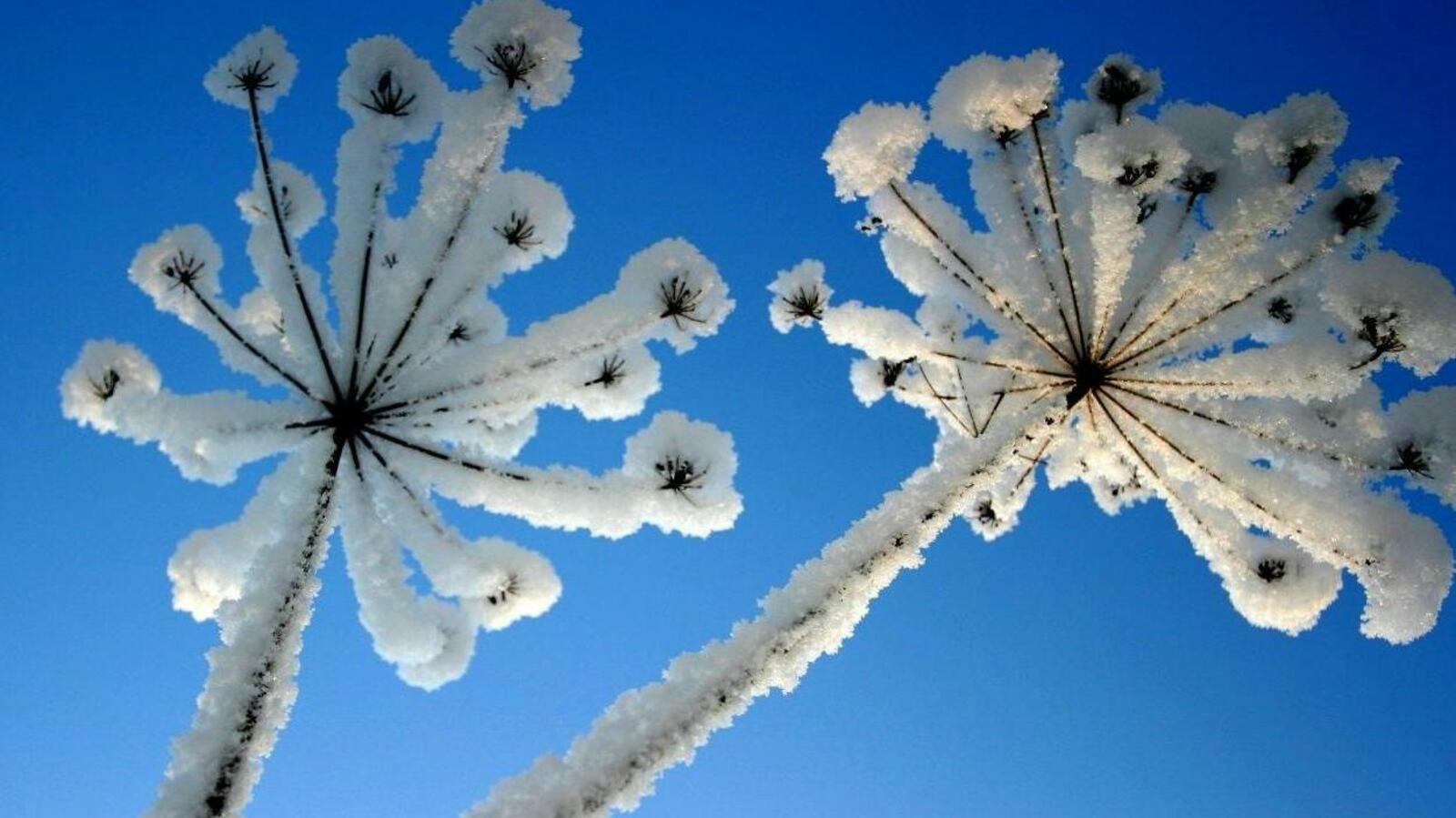 ИА «Башинформ»