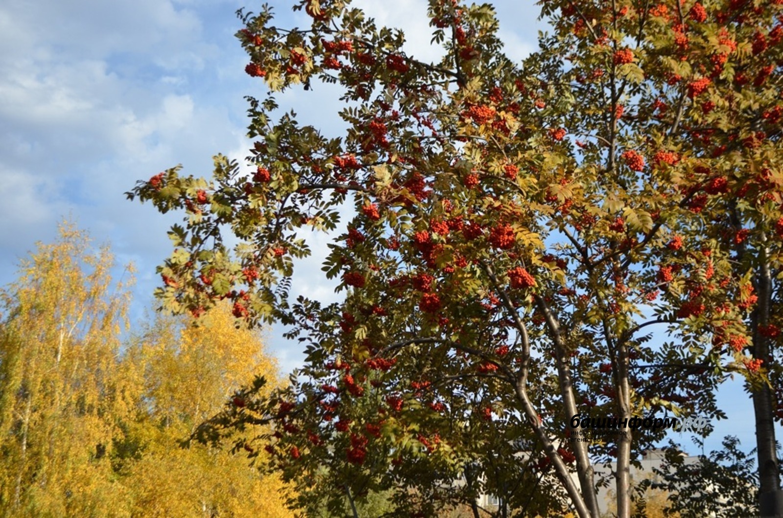 Ксения Калинина