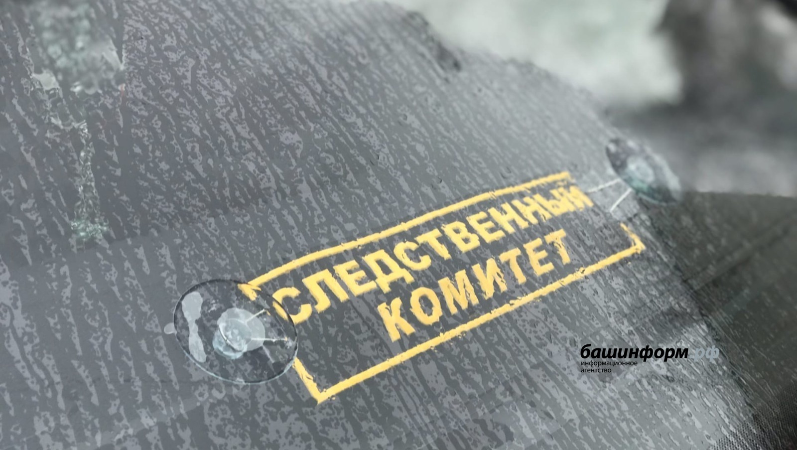 Ксения Калинина