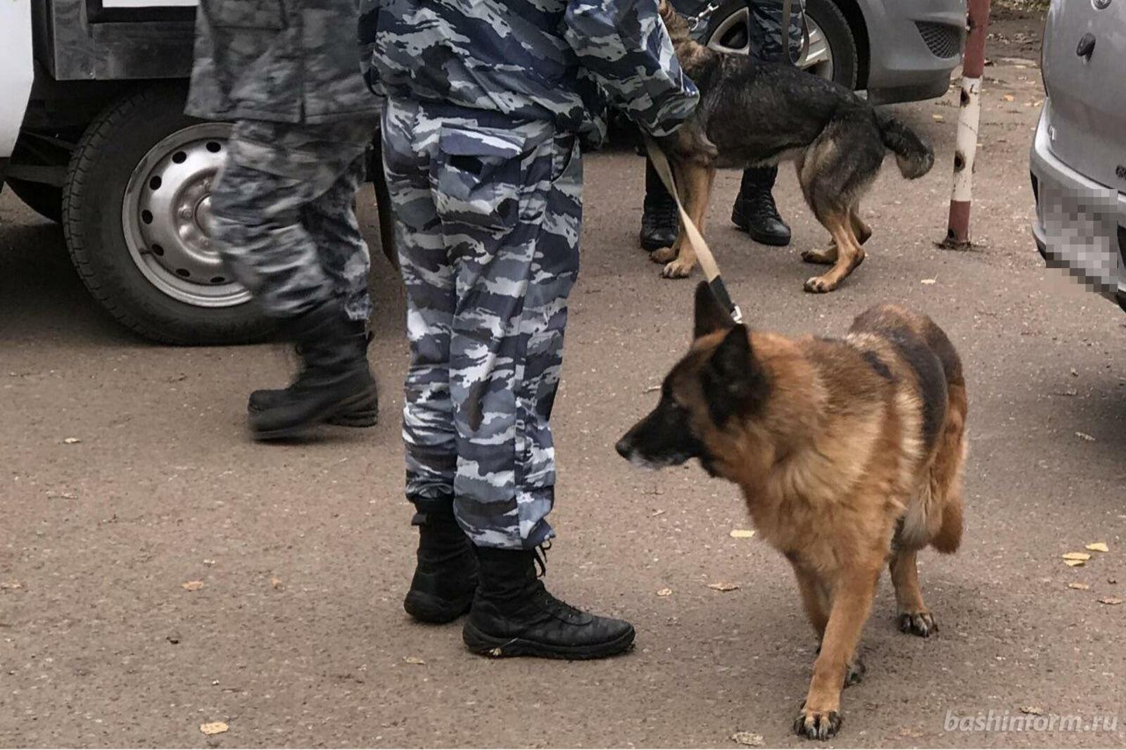 автор