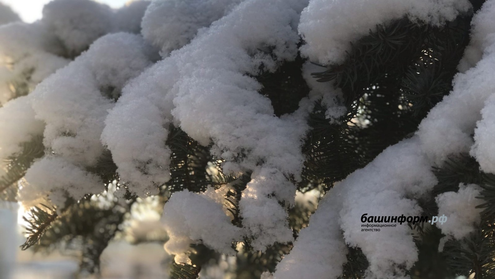 Ксения Калинина