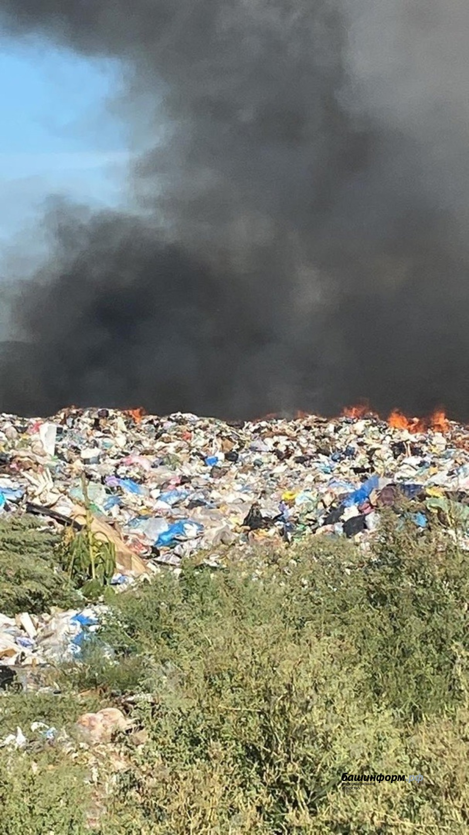 страница Дмитрия Трапезникова во ВКонтакте.