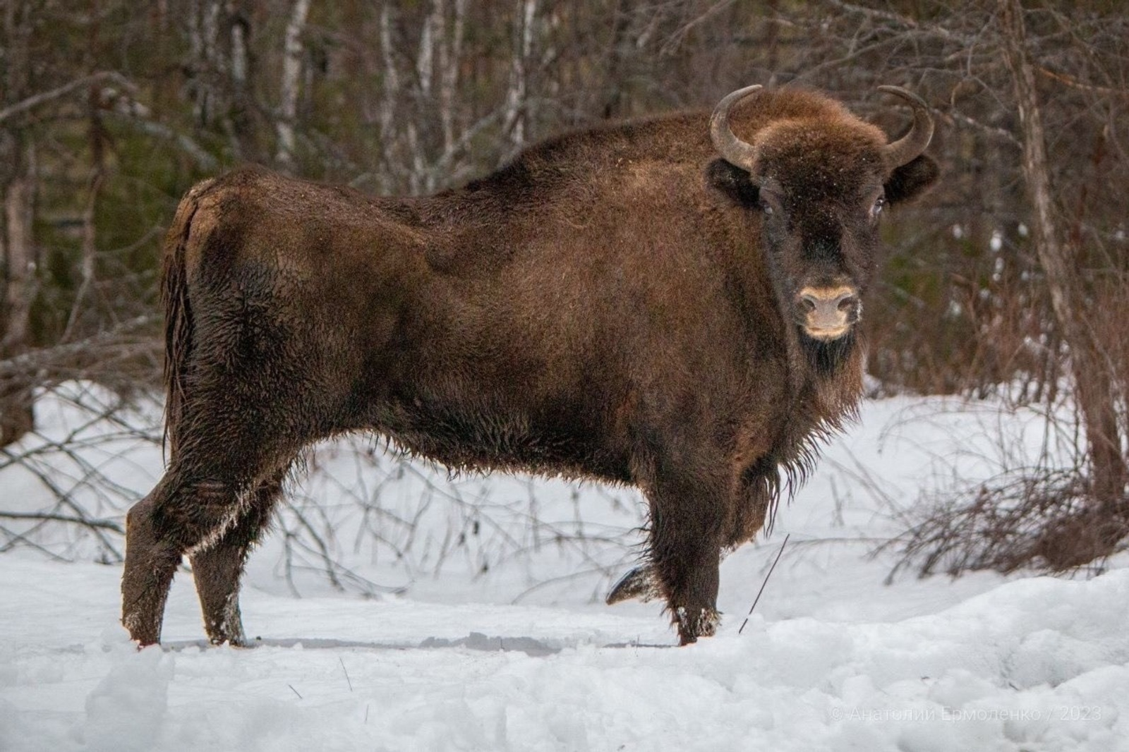 «Башинформ» мәғлүмәт агентлығы