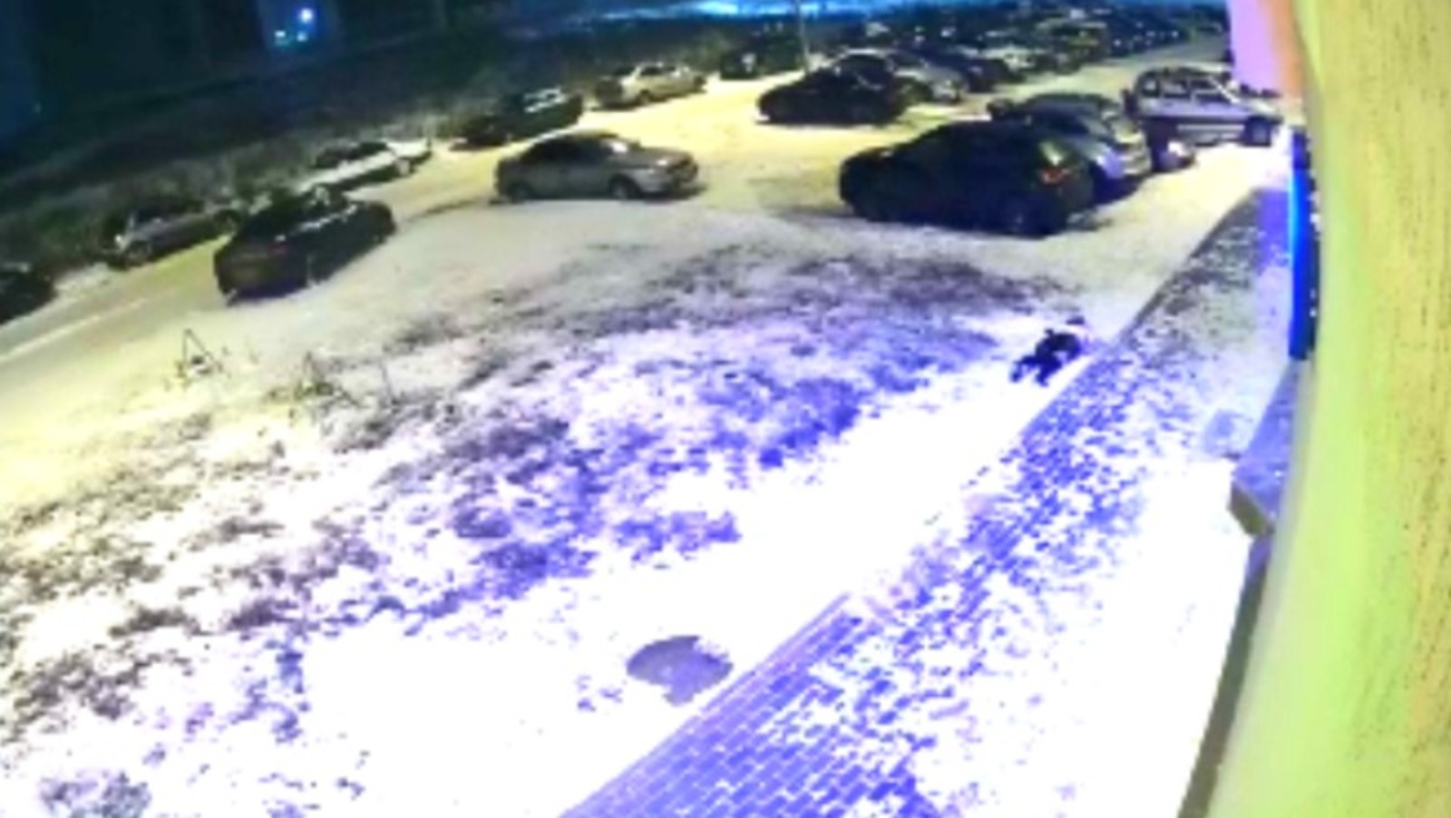 скриншот с камер Уфанет