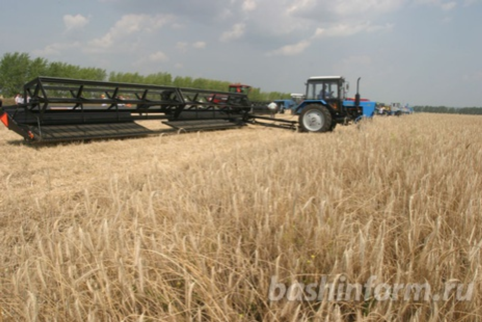 Андрей Старостин