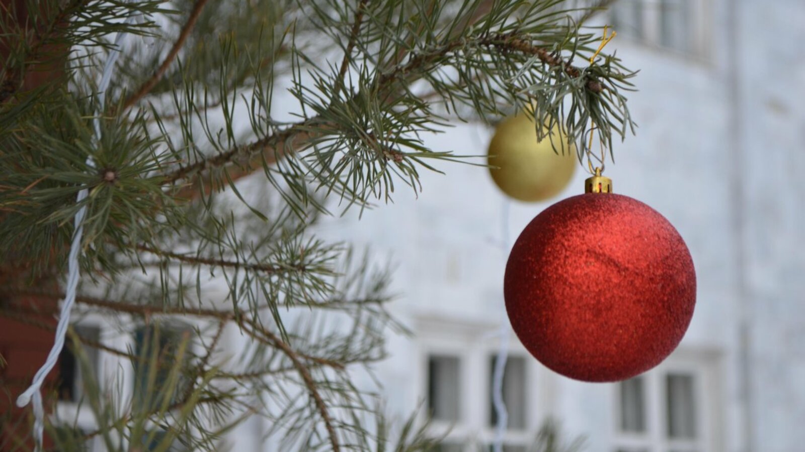 Ксения Калинина