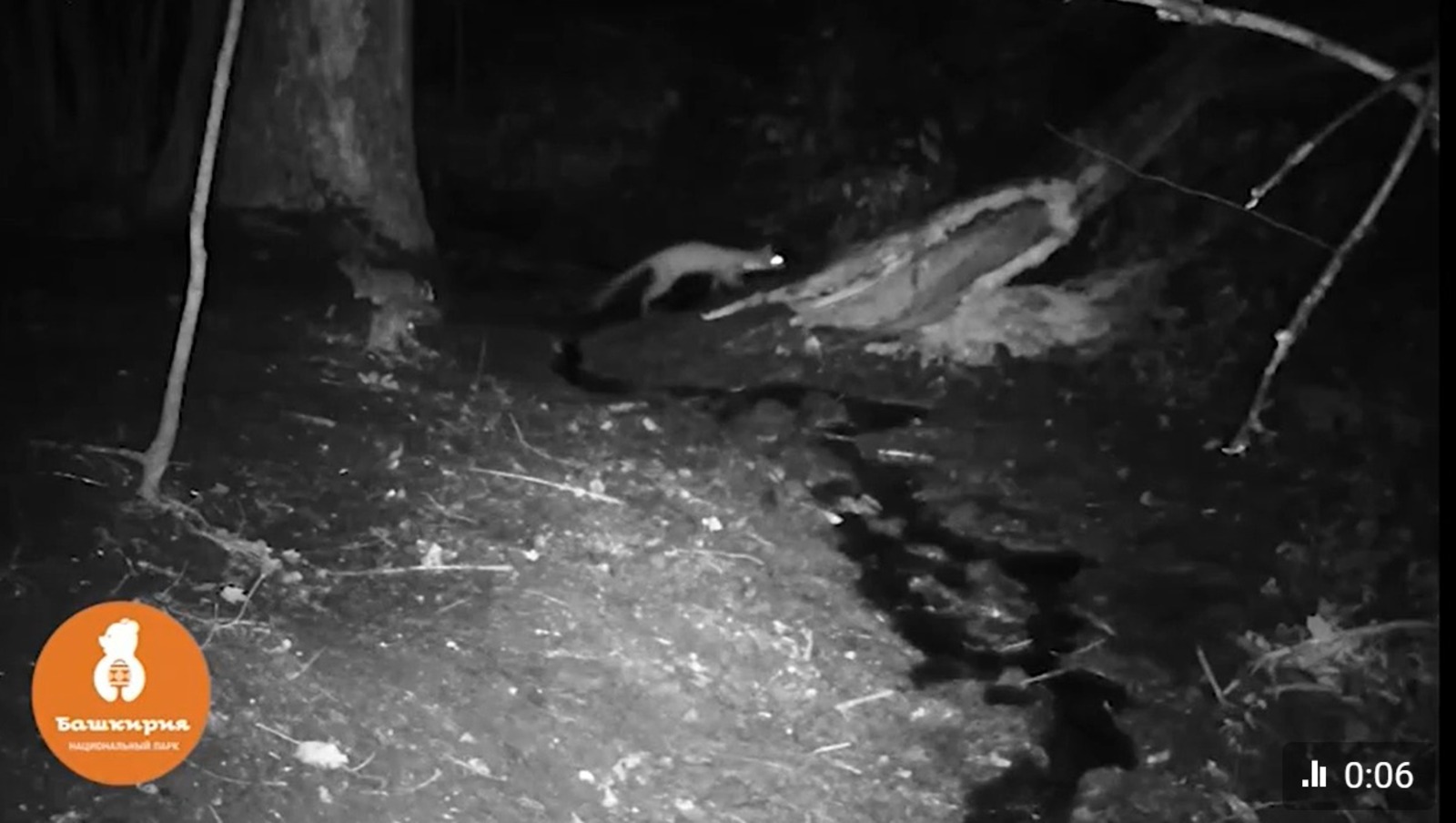 скриншот видео нацпарка «Башкирия»