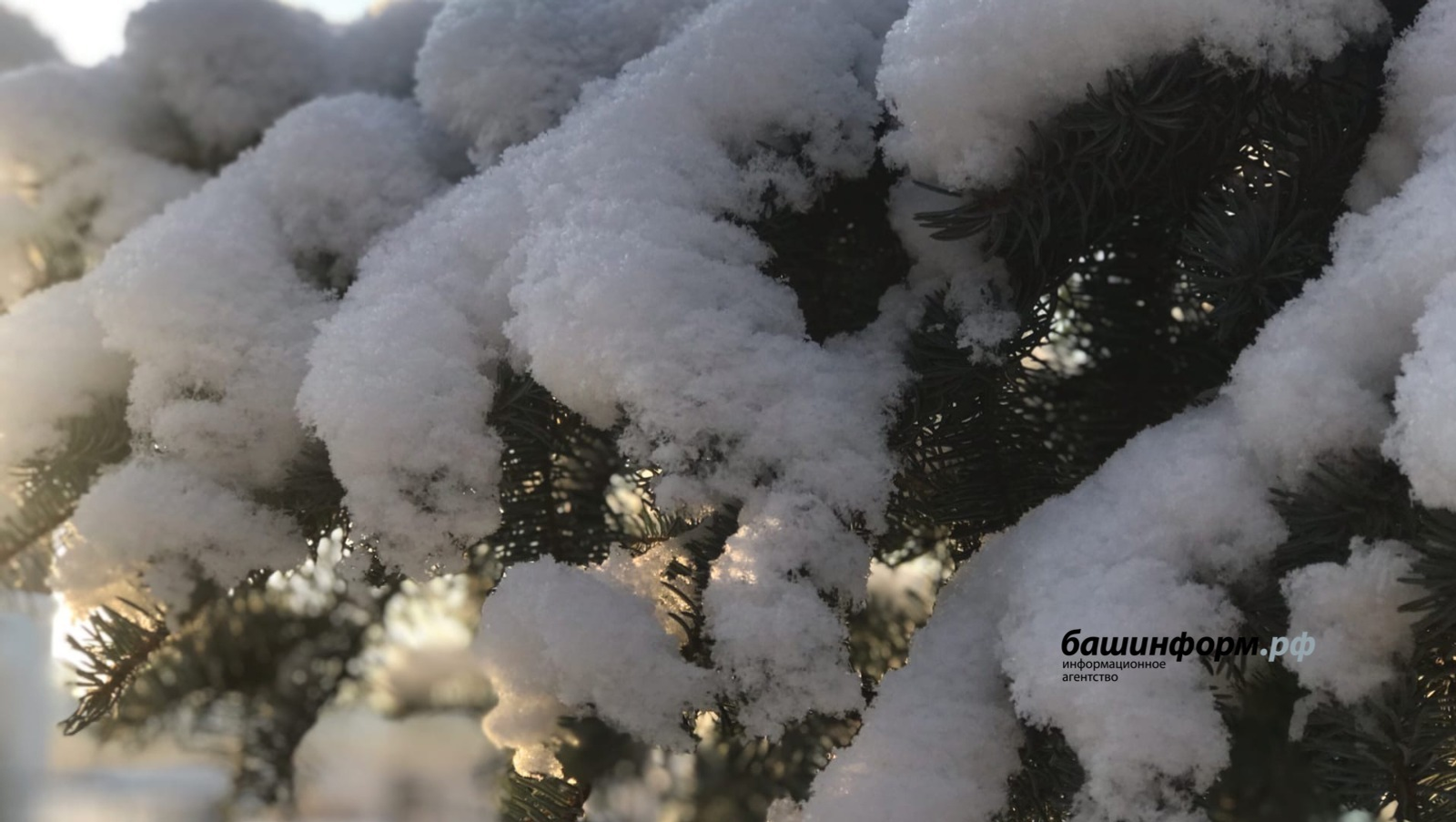 Ксения Калинина