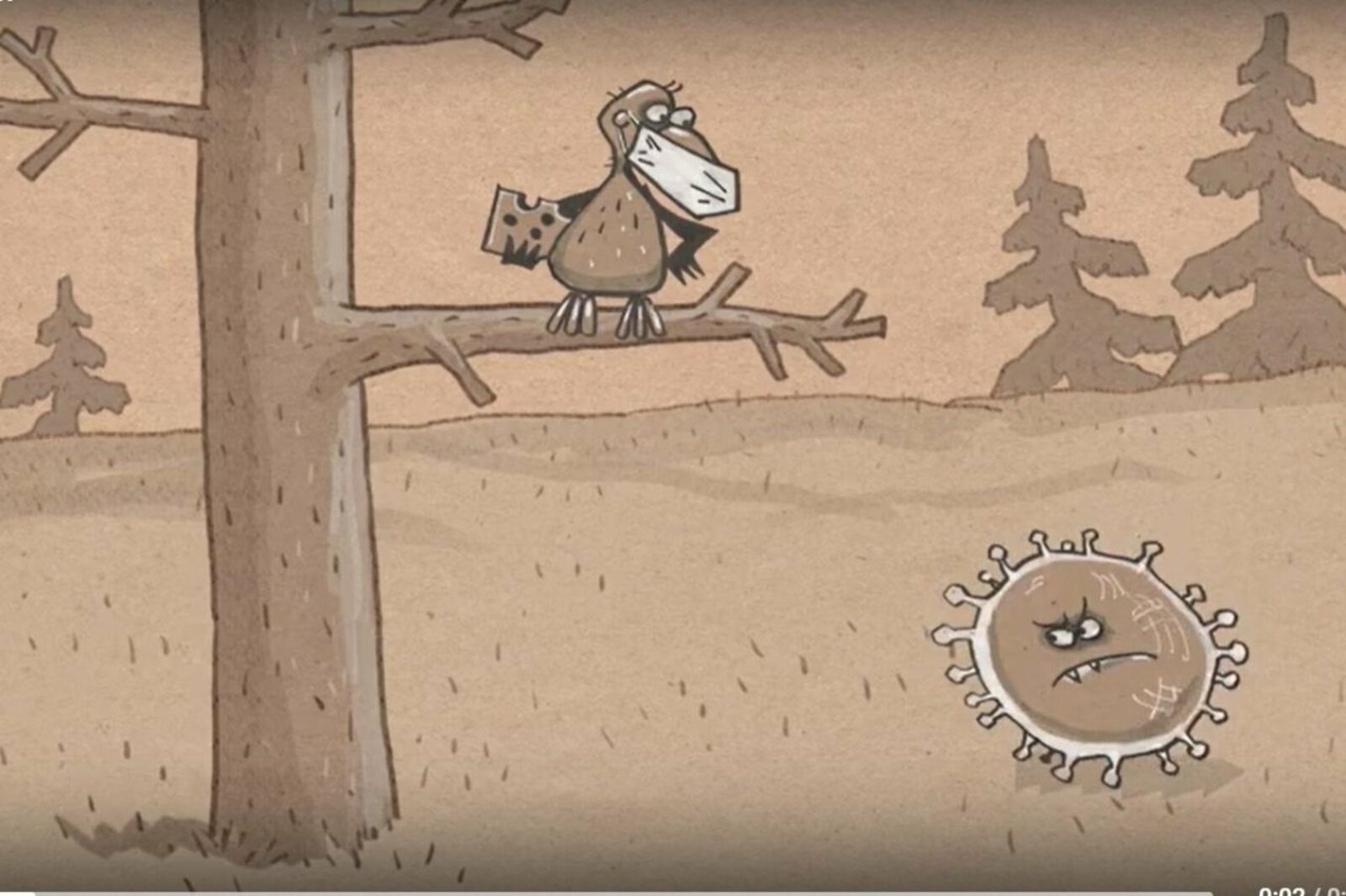 стоп-кадр видео