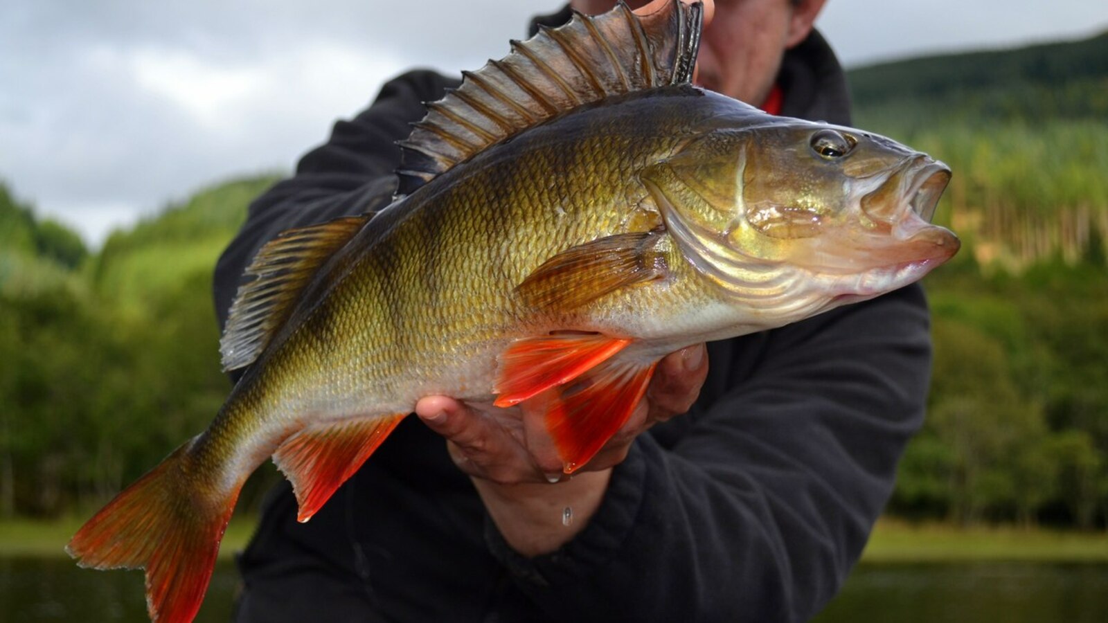 сайт администрации Уфы