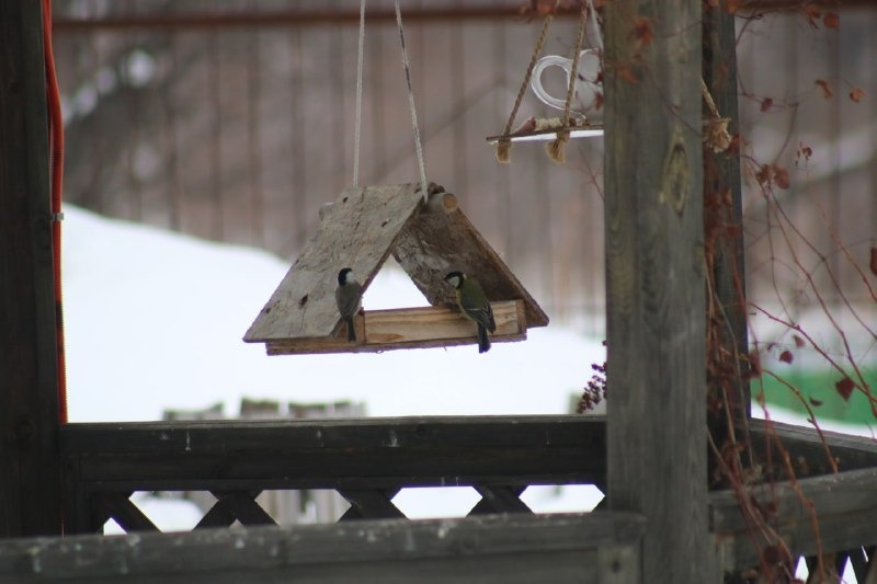 Нацпарк «Башкирия» ТГ-канал