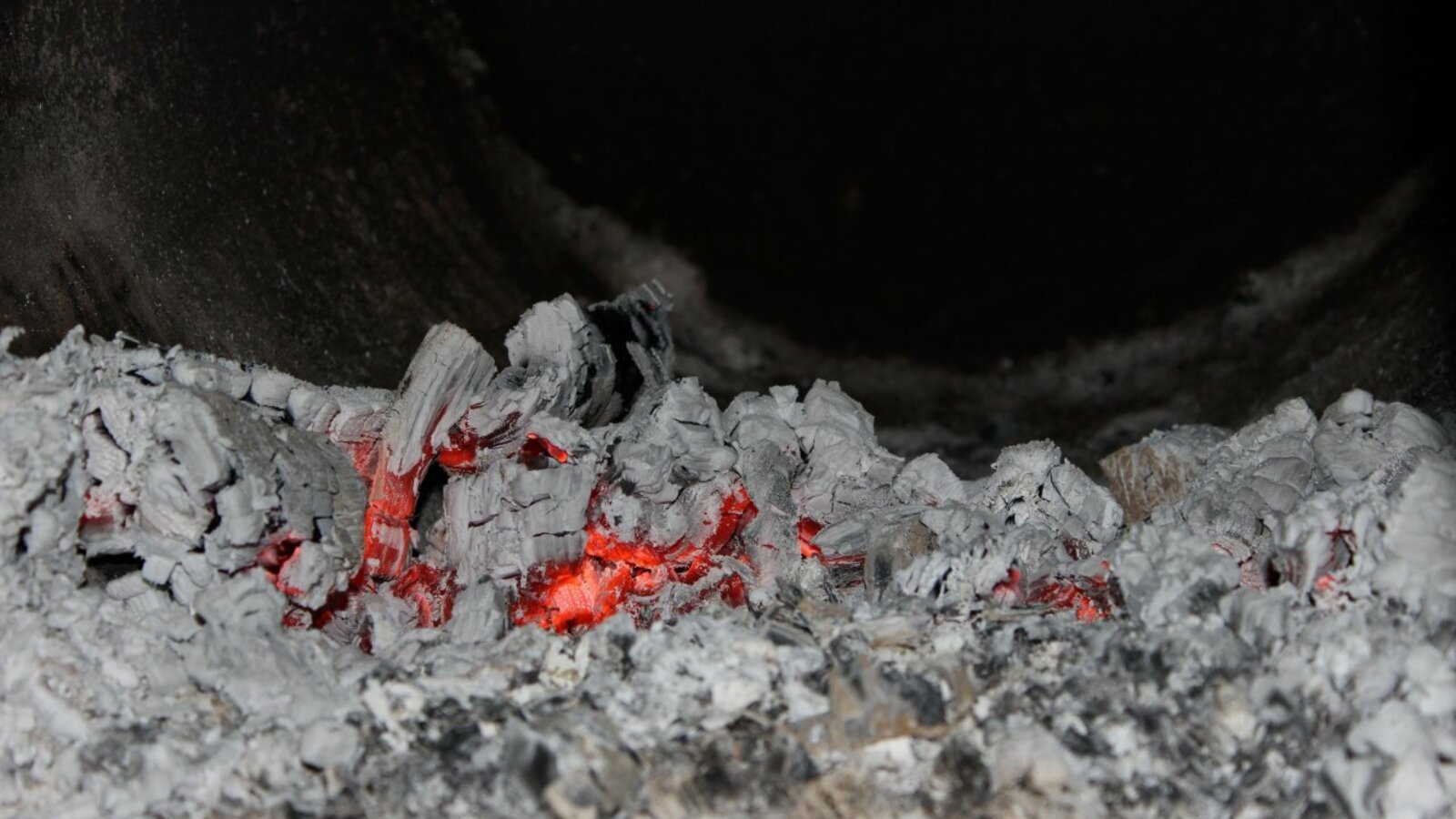 Карина Камаева