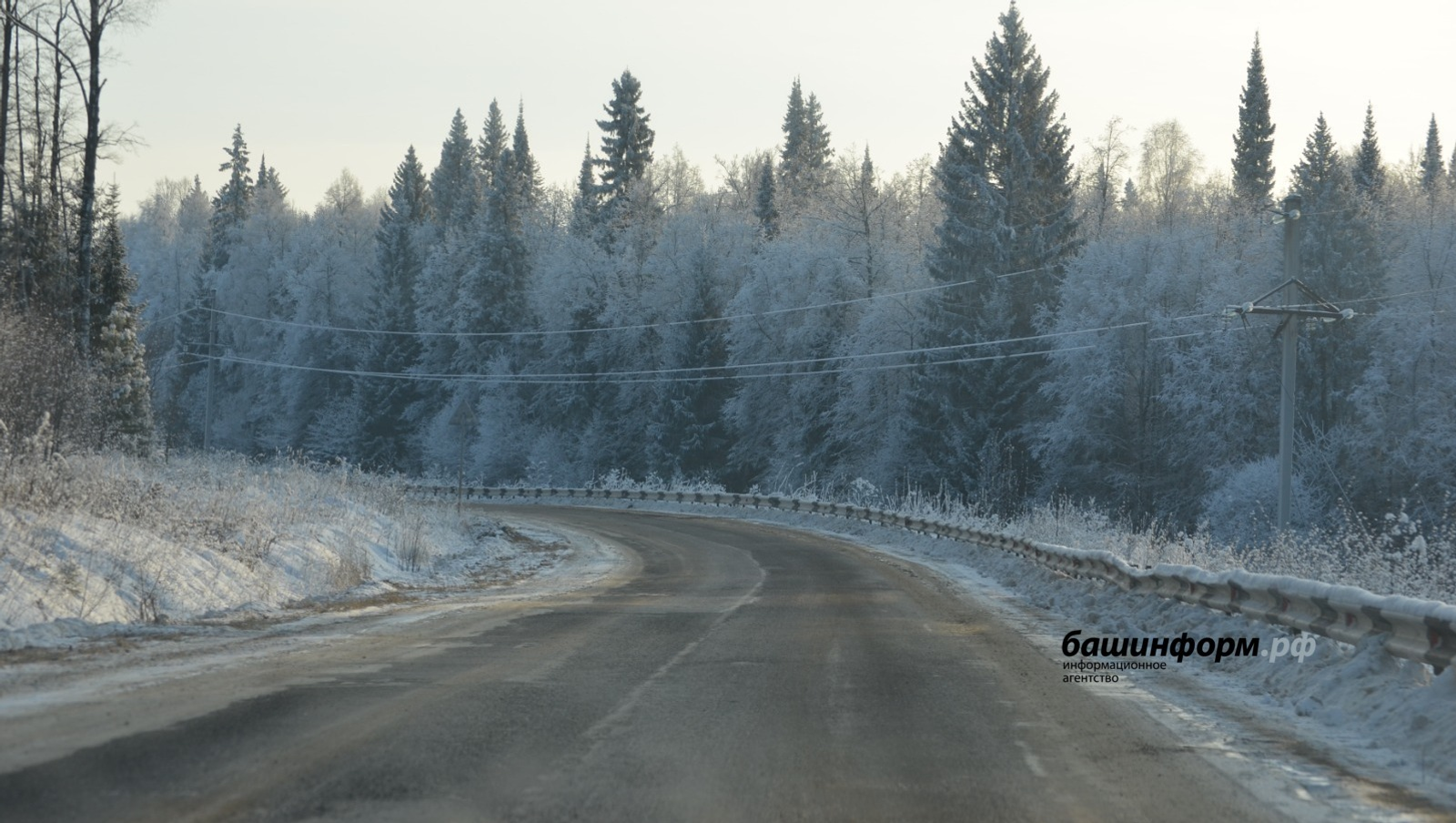 Ксения Калинина