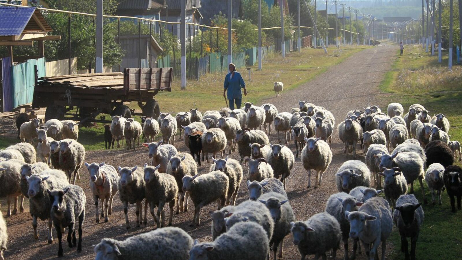 Олег Яровиков