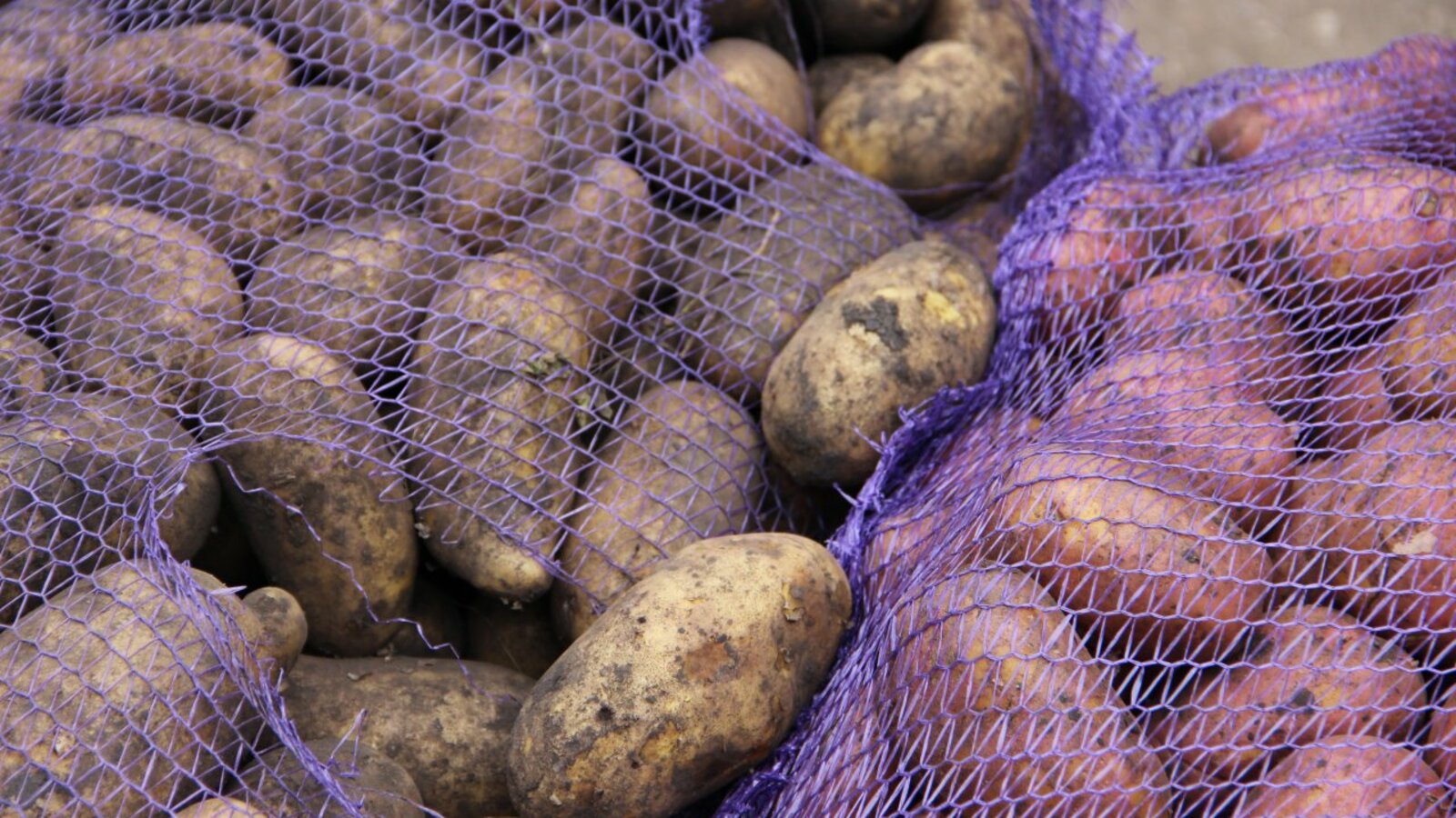 ИА «Башинформ»