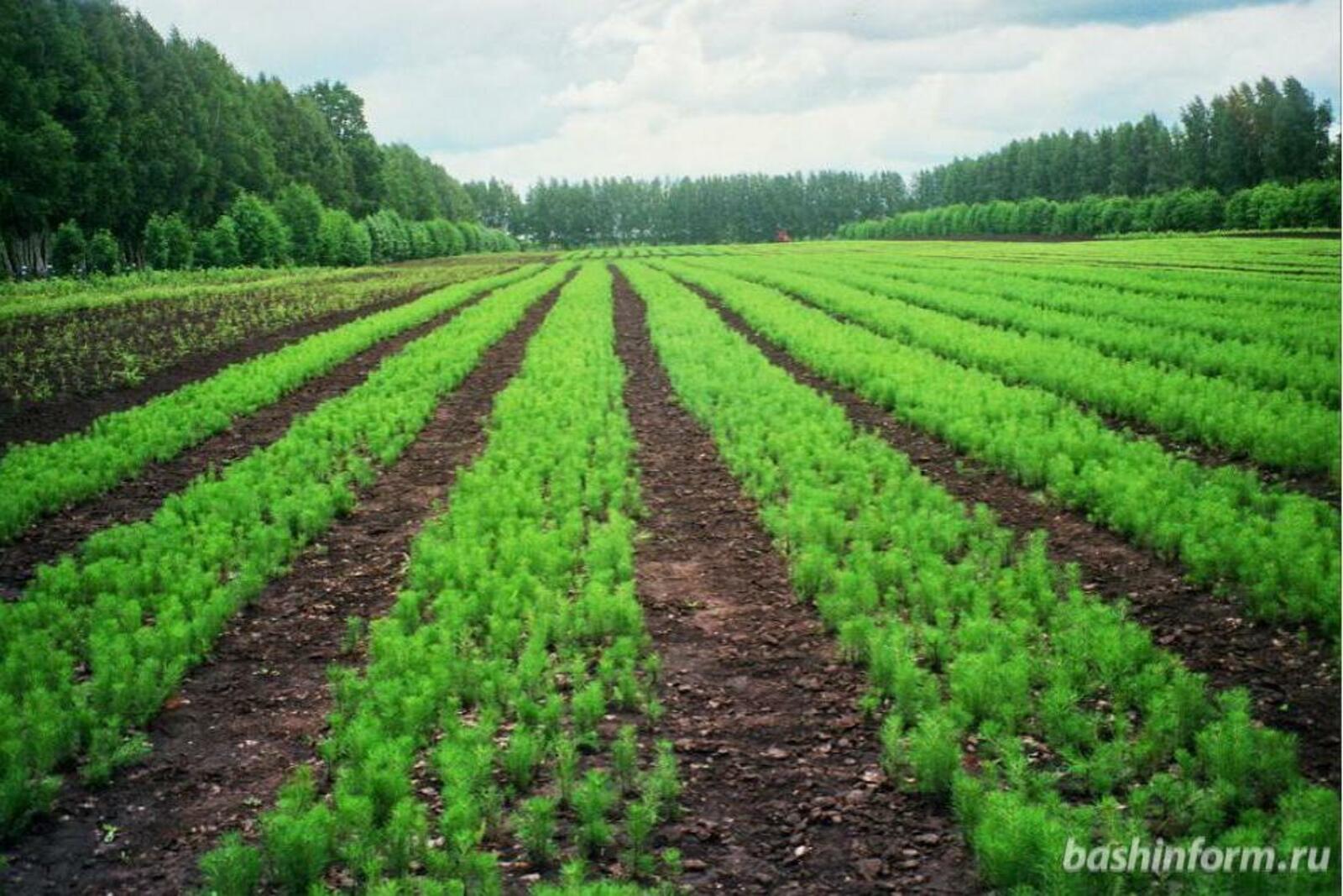 Национальный архив РБ