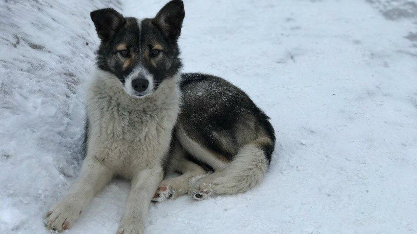 Ксения Калинина