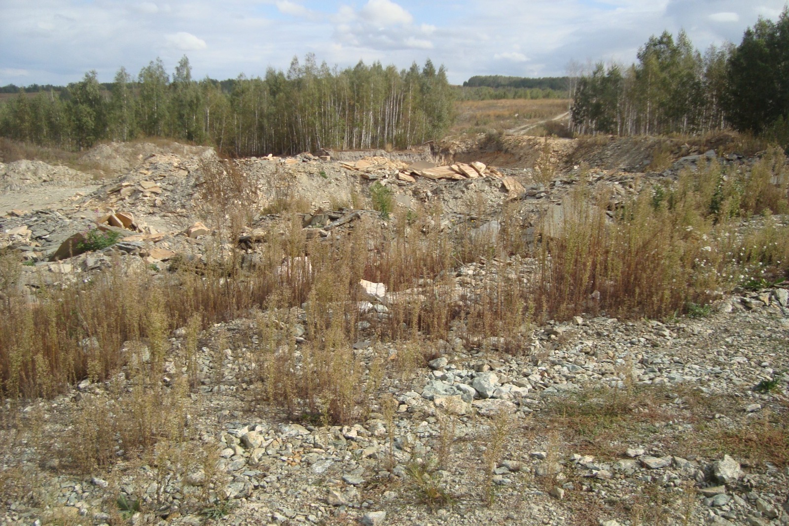 пресс-служба управления Россельхознадзора по РБ